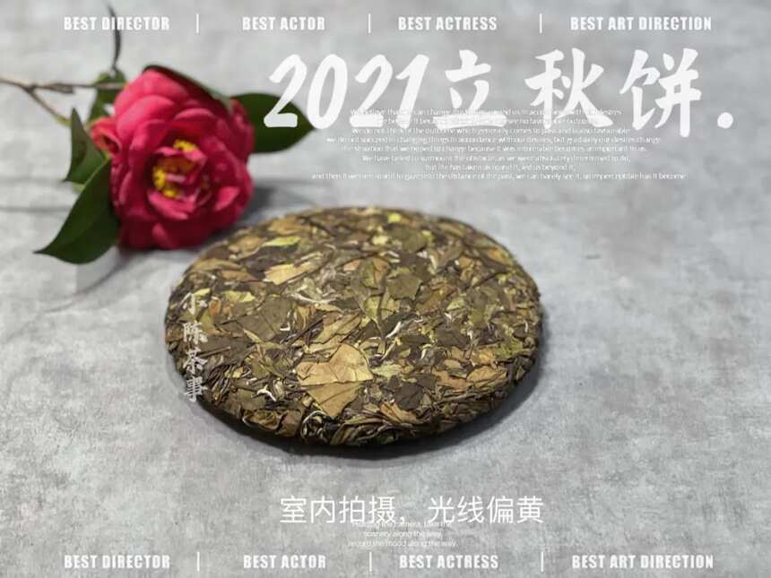 分不清春寿眉饼还是秋寿眉饼？教你3点技巧，很实用