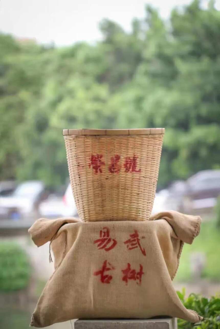 易武古树茶