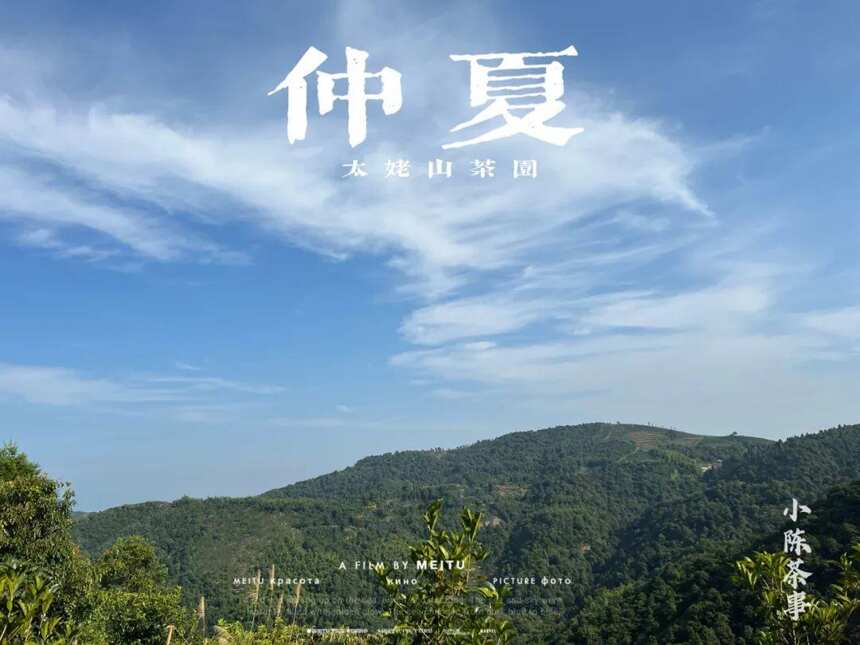 大暑后的第五天，我们顶着烈日去了太姥山，与久违的茶树来个拥抱