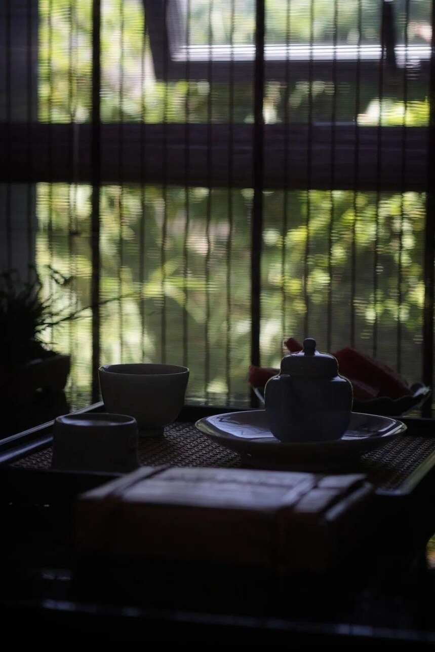 夏日侍茶 | 一间茶室，喝茶消夏