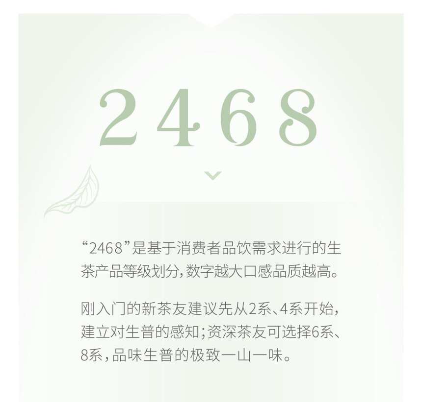 系列｜吉普号8系，普洱生茶山头之巅