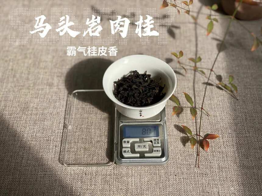 绿茶、白茶、红茶、岩茶，不同茶叶的茶具搭配，你都喝对了吗？