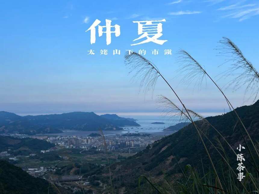 大暑后的第五天，我们顶着烈日去了太姥山，与久违的茶树来个拥抱