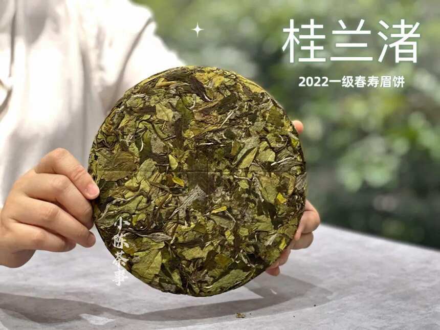 分不清春寿眉饼还是秋寿眉饼？教你3点技巧，很实用