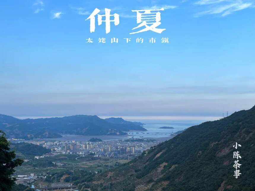 大暑后的第五天，我们顶着烈日去了太姥山，与久违的茶树来个拥抱