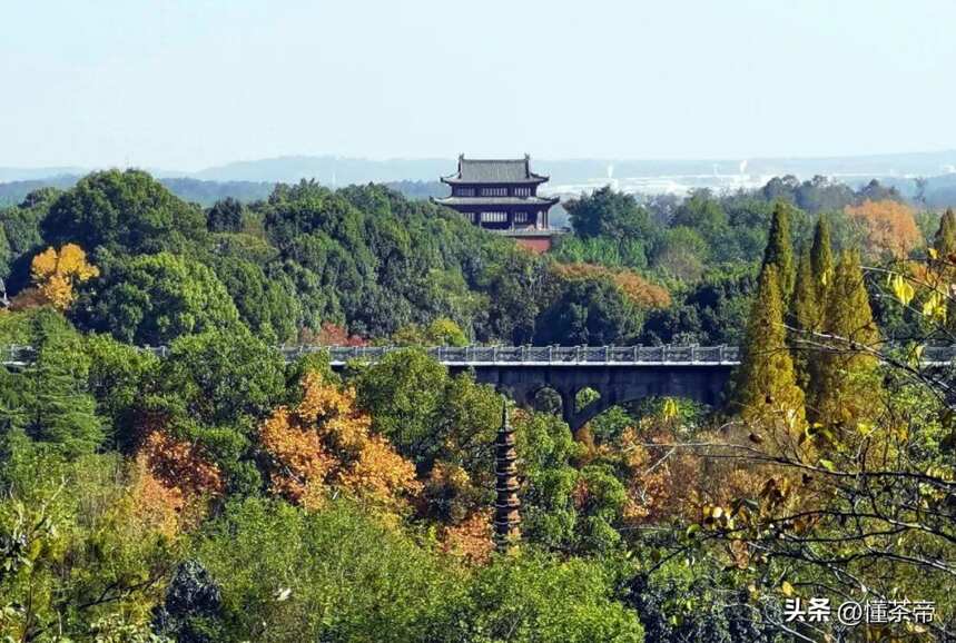 不是所有寺庙都藏污纳垢，这些寺庙的好茶千万不要错过