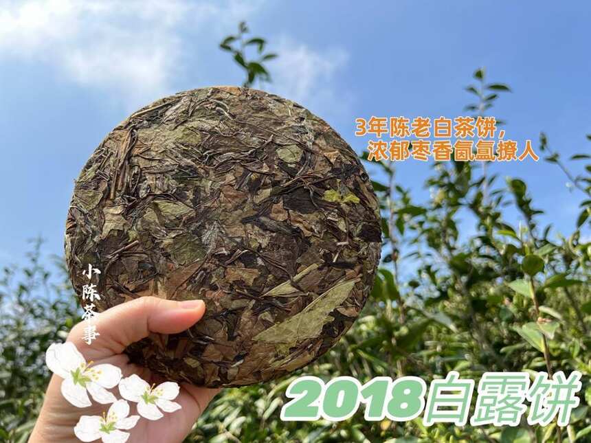 “茶叶大师”对老白茶的评价，短短16个字，踩中2个大坑，没谁了