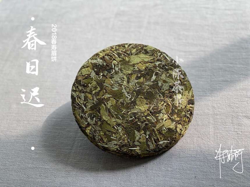 分不清春寿眉饼还是秋寿眉饼？教你3点技巧，很实用