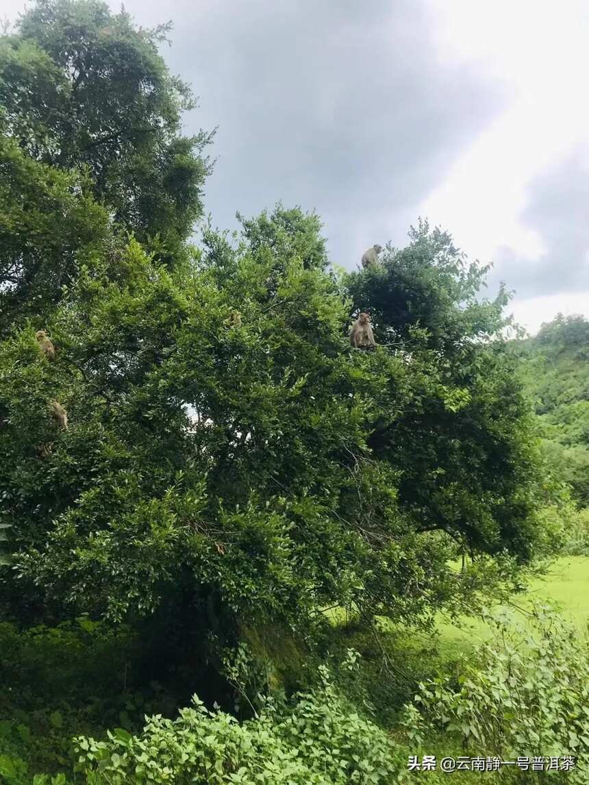 云南雨水季的大山