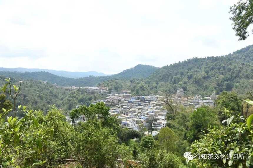 马哲峰：老曼峨茶山行纪