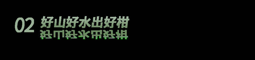 合集｜从原料到冲泡，6招秒懂小青柑