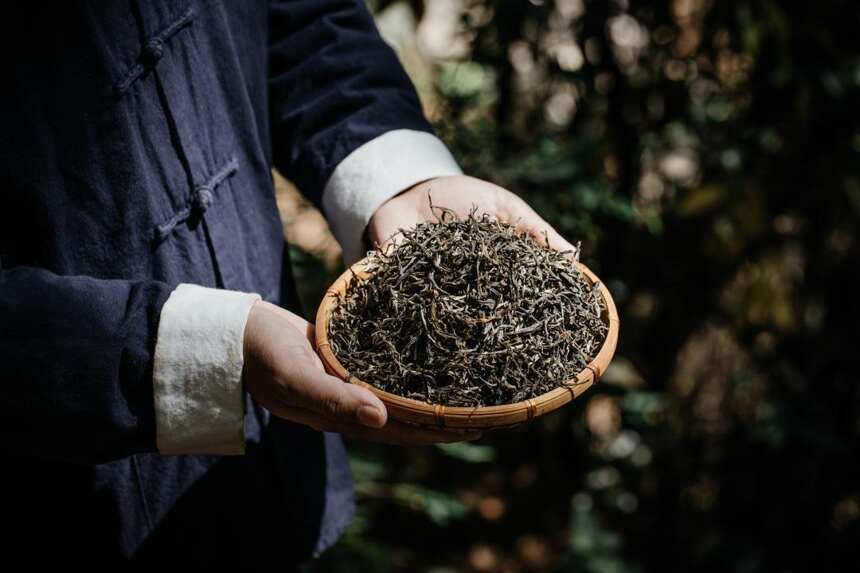 传统的茶人总是在不断努力地创新着