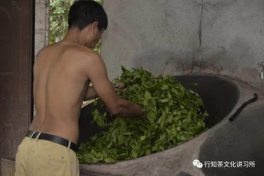 马哲峰：革登山茶农唐旺春的故事