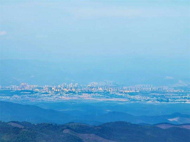 山不过来，我就“喝”山！重启云南茶山的味道