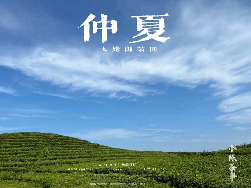 大暑后的第五天，我们顶着烈日去了太姥山，与久违的茶树来个拥抱