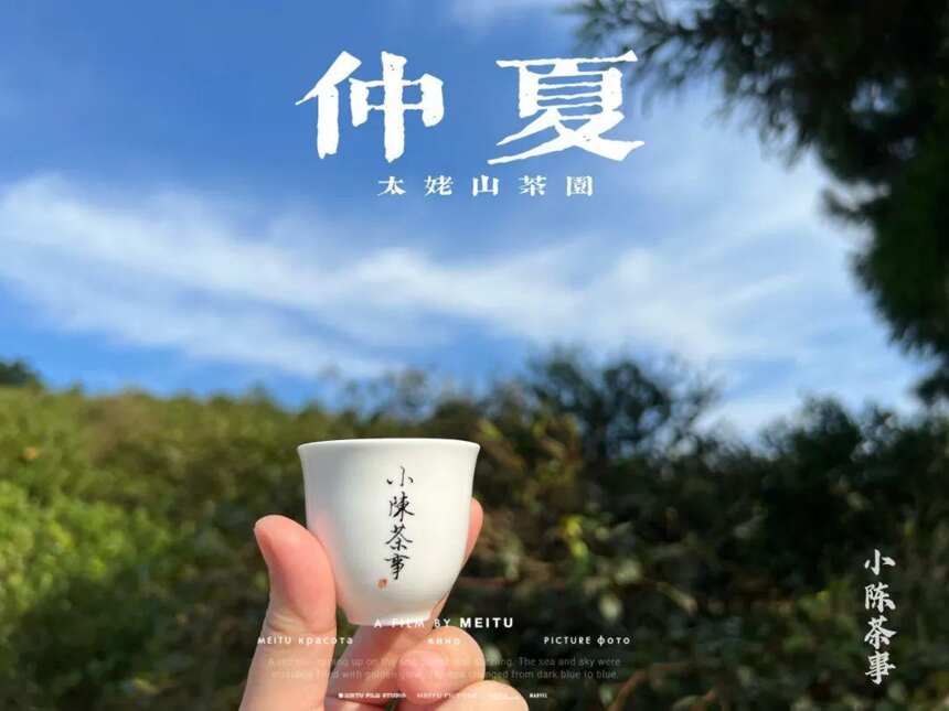 大暑后的第五天，我们顶着烈日去了太姥山，与久违的茶树来个拥抱