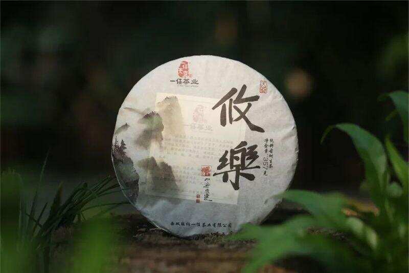 春茶丨入口而化，韵酽香扬，一种雅致，流转千年