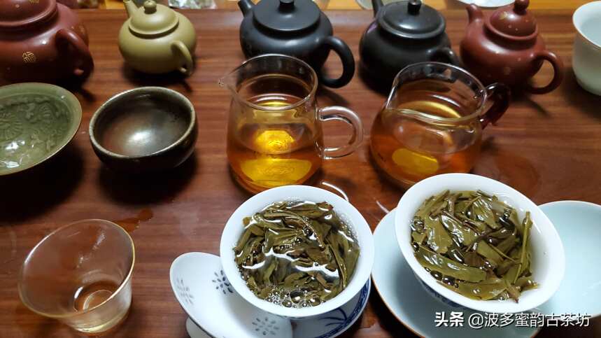 老茶、中期茶和新茶，未来主角是谁？谁是营养与口感的NO.1?(二)