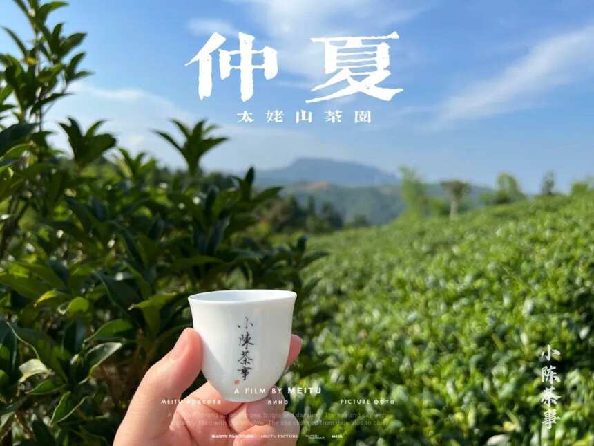 大暑后的第五天，我们顶着烈日去了太姥山，与久违的茶树来个拥抱