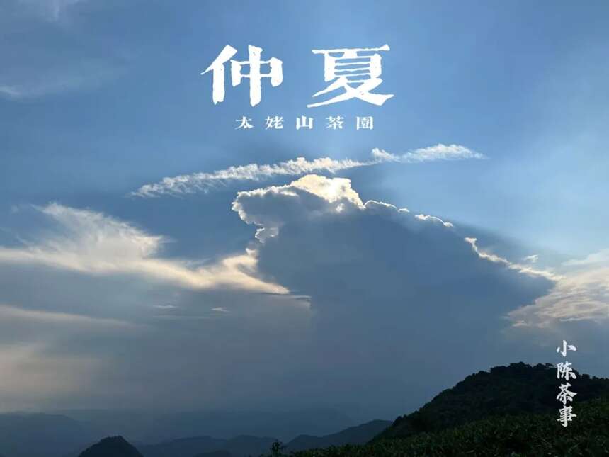 大暑后的第五天，我们顶着烈日去了太姥山，与久违的茶树来个拥抱