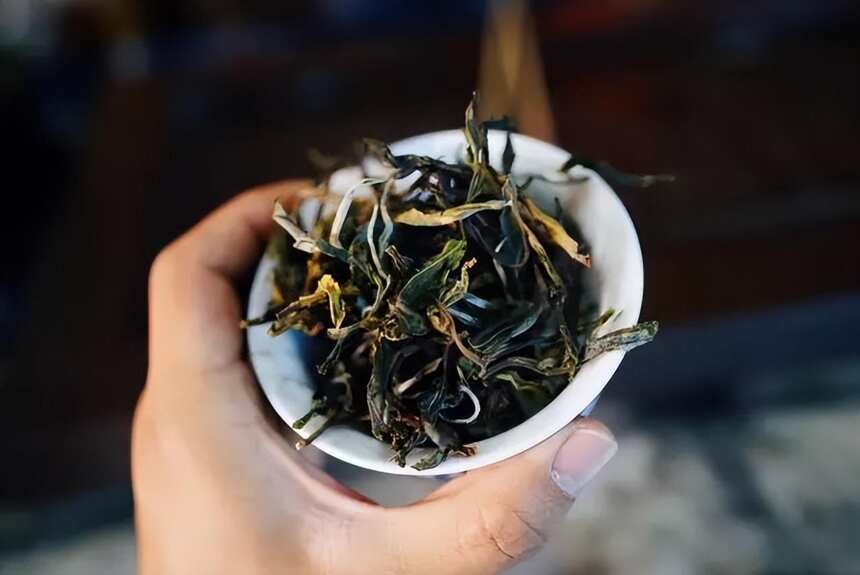 玩茶几十年，年份茶、山头茶你分清了吗？