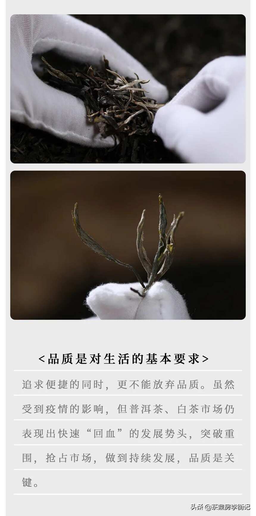 茶与生活，快消茶如何激活市场活力？