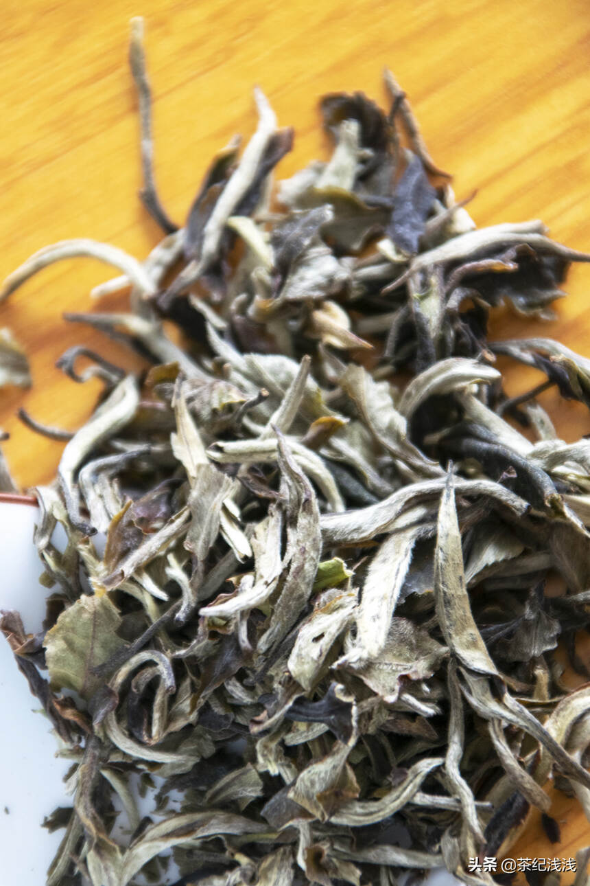 福鼎白茶和云南白茶，你pick谁？