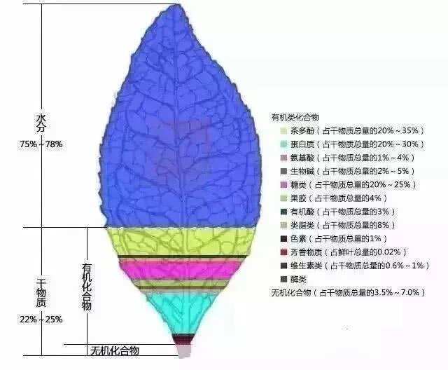 茶叶入门知识，这篇最靠谱（一定收藏）