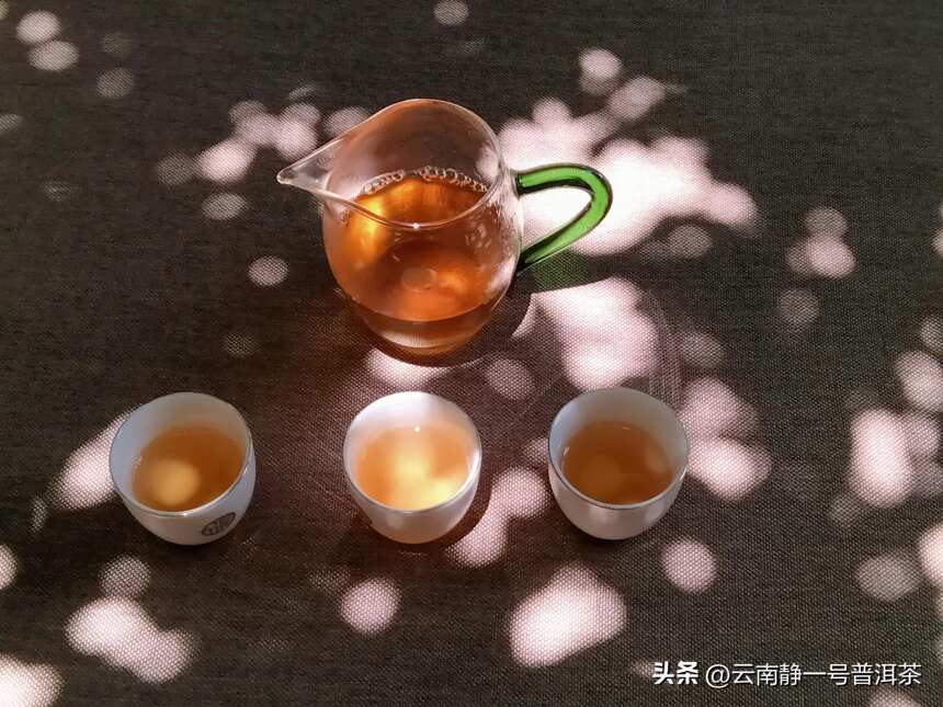 树下茶汤光影