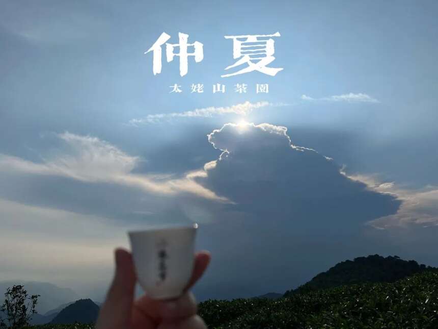 大暑后的第五天，我们顶着烈日去了太姥山，与久违的茶树来个拥抱