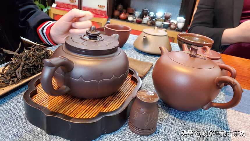 老茶、中期茶和新茶，谁将担当未来的主角？谁是营养与口感的No.1?