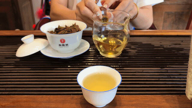 云南古树白茶，清朝皇家贡茶之味｜倚邦白茶