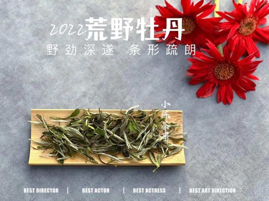 盘点3种喝茶的离谱迷惑行为，第一个很多人都干过，太讽刺了