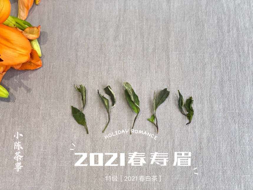 6条白茶热门观点，全是错的，没有一个幸免，你踩了哪个“坑”？