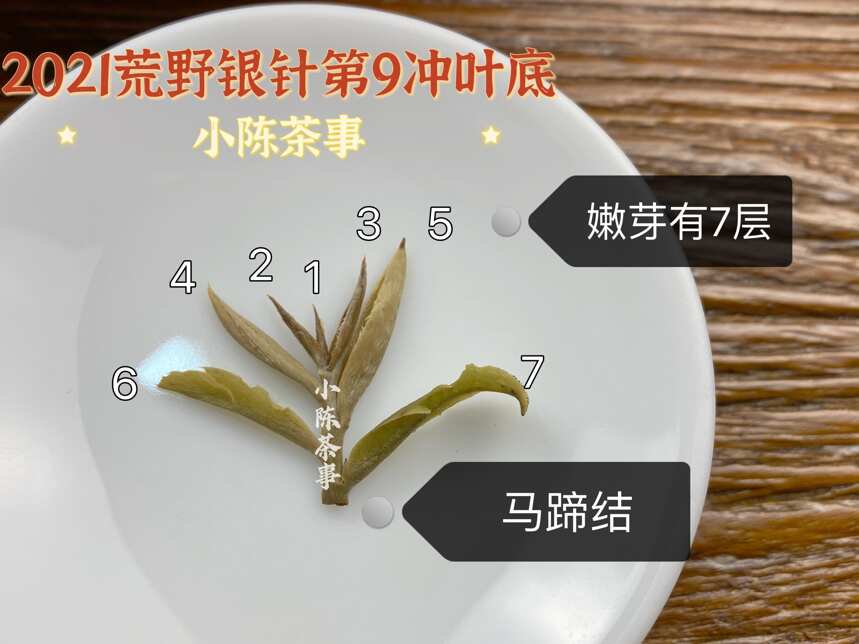 6条白茶热门观点，全是错的，没有一个幸免，你踩了哪个“坑”？