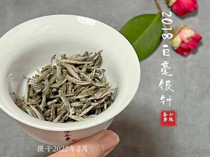 6条白茶热门观点，全是错的，没有一个幸免，你踩了哪个“坑”？