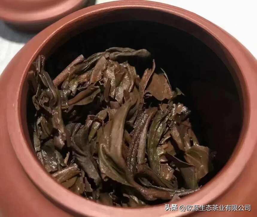 2003年班章有机茶王