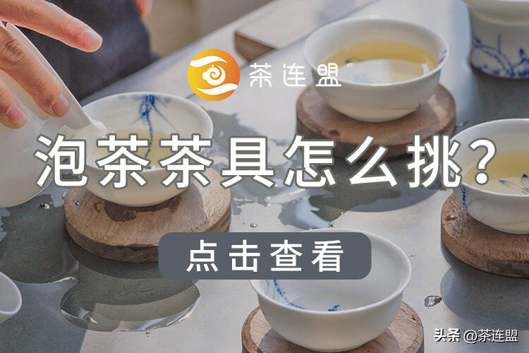 玻璃白瓷还是紫砂？茶连盟带来泡茶茶具盘点