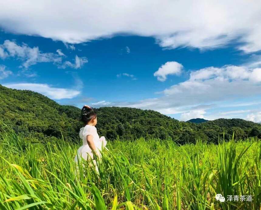 立秋：始惊三伏尽，又遇立秋时