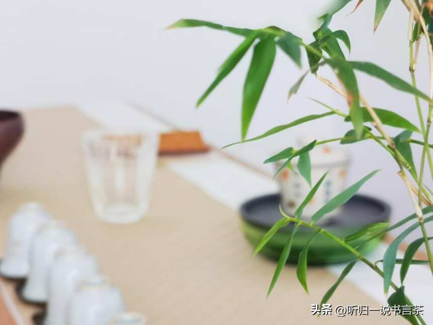 茶空间管理8：你必须知道茶空间管理的三大要素