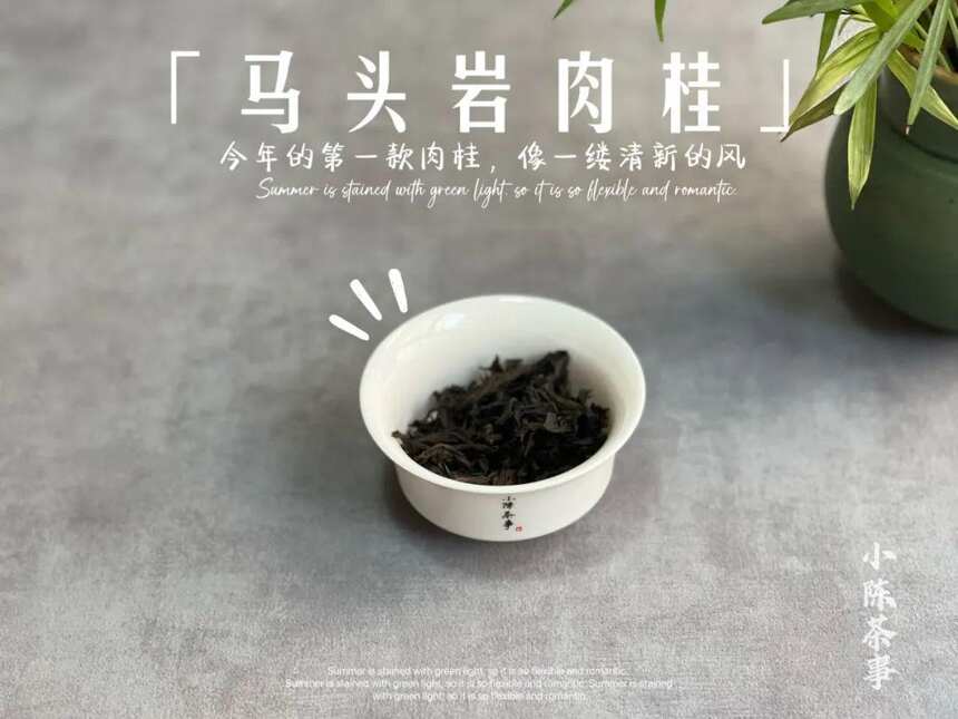 绿茶、白茶、红茶，六大茶类的保质期是多久？一过期就不能喝吗？