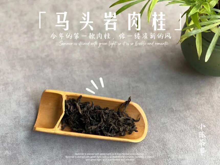 绿茶、白茶、红茶，六大茶类的保质期是多久？一过期就不能喝吗？