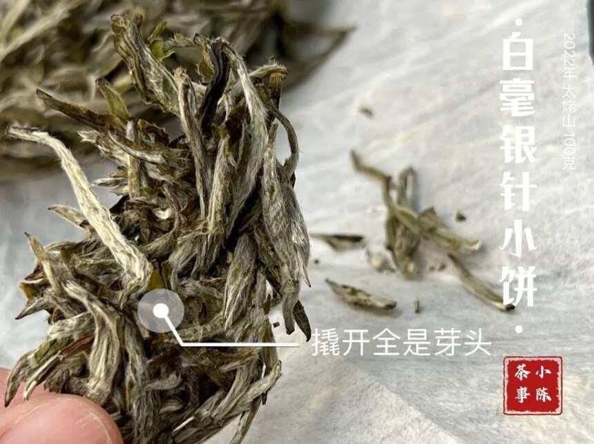 学不会如何撬白茶饼？简单不伤手的3个技巧教给你，轻松撬好茶