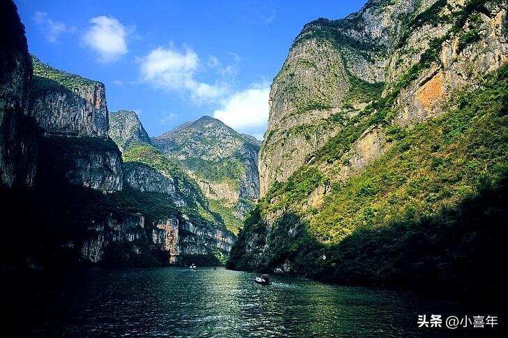 千里江山茶叶图，品茶选对山头很重要