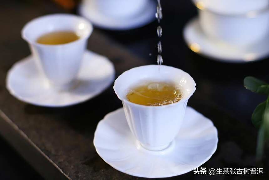 关于普洱茶的知识（超全），秒懂普洱茶