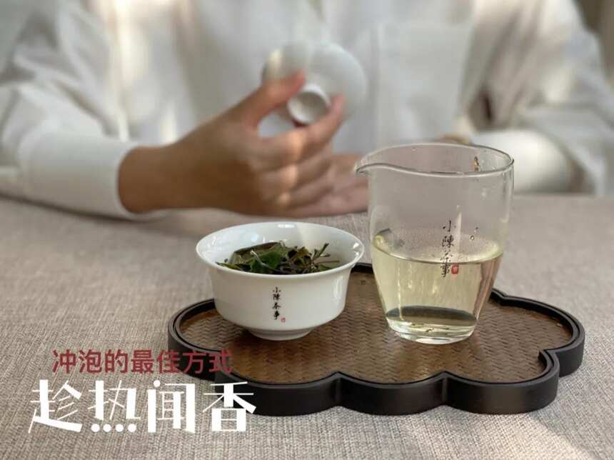 为什么泡茶时，不建议你一开始就坐杯闷泡？4点真相总算揭开了