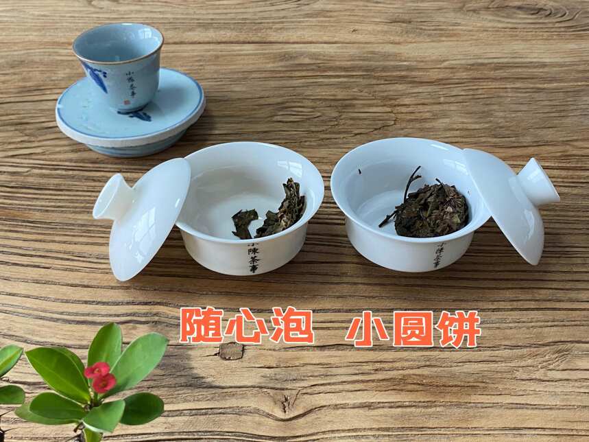 几块钱和几百元的白茶饼，到底差在哪？实拍图见真章，差距太大了