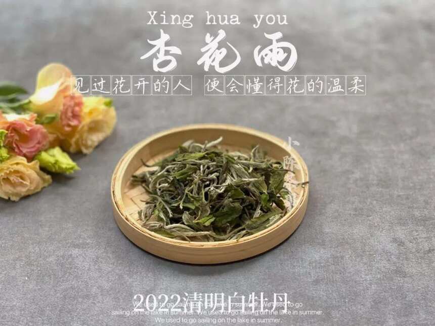 买白茶是等级越高越好吗？这些购买白茶的误区，你知道多少？