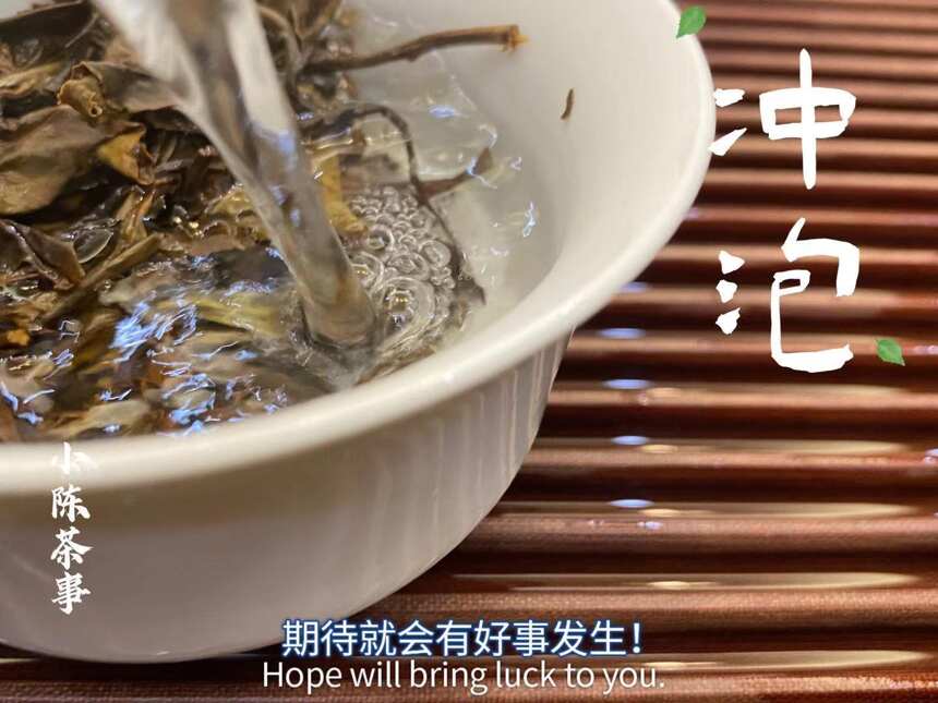 为什么泡茶时，不建议你一开始就坐杯闷泡？4点真相总算揭开了