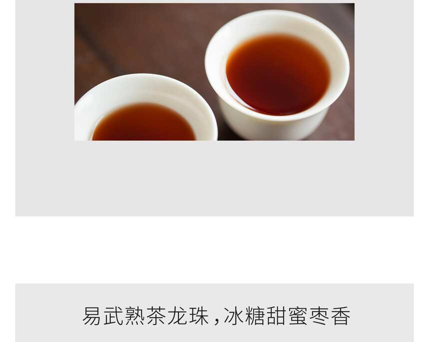 系列｜吉普号5系，普洱熟茶品饮范本